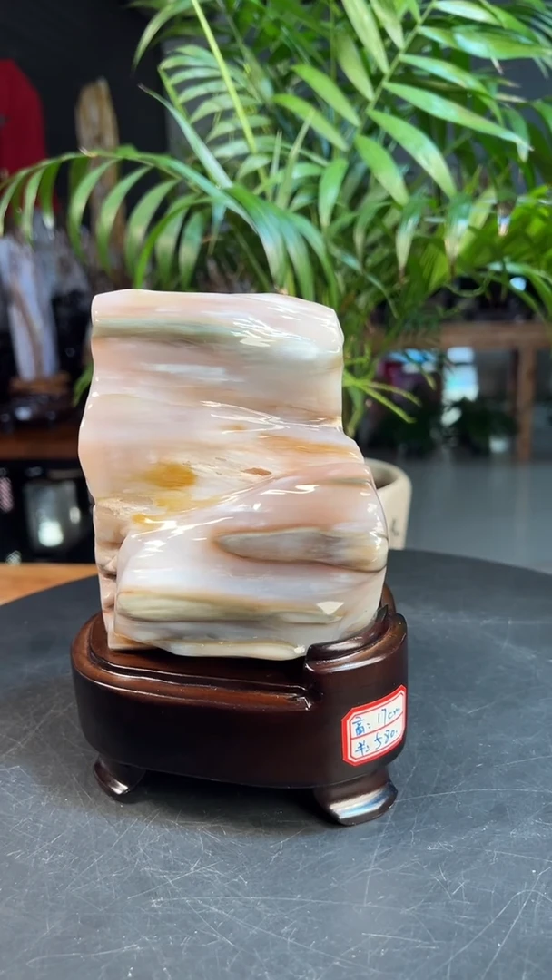 未镶嵌硅化玉（树化玉）珠宝奇石0310（带绿）