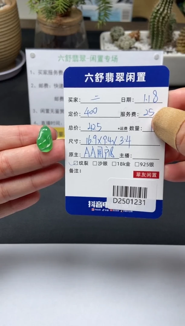 【闪购商品】翡翠颈饰未镶嵌D2501231