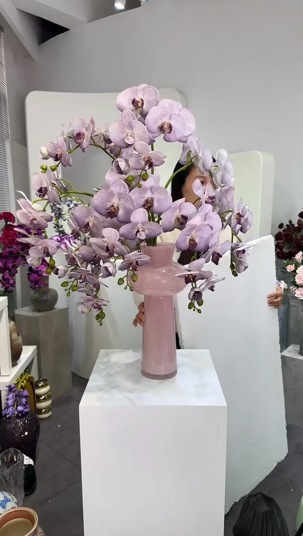 【闪购商品】藤12枝香芋紫蝴蝶兰（不含花瓶）