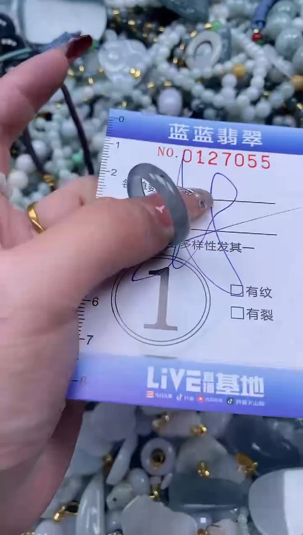 【闪购商品】翡翠颈饰未镶嵌闪购0127055多样性发其一