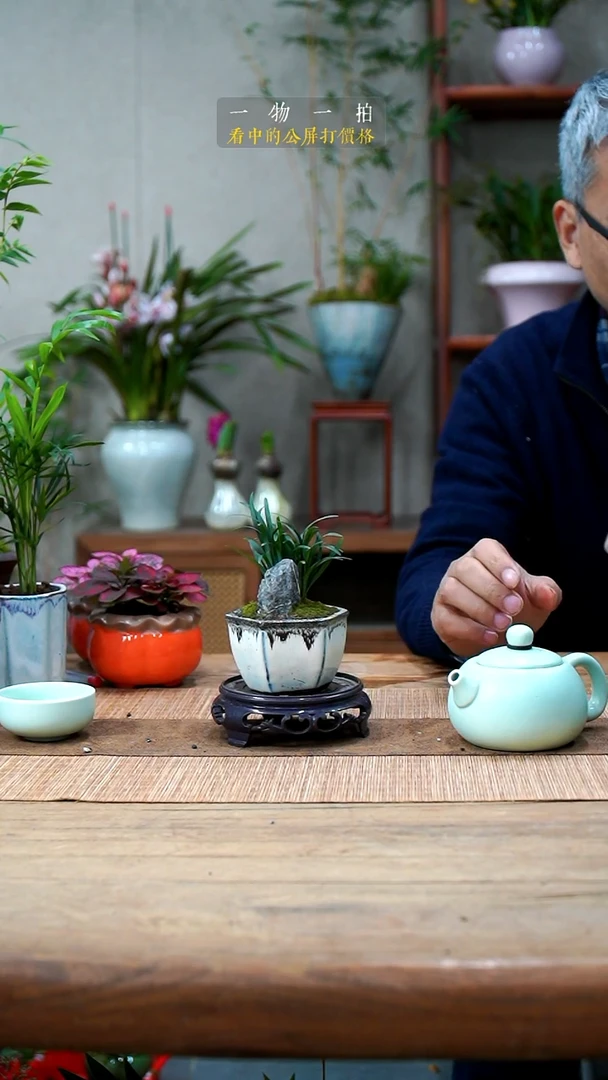 完全开放狮**哥玉龙草081