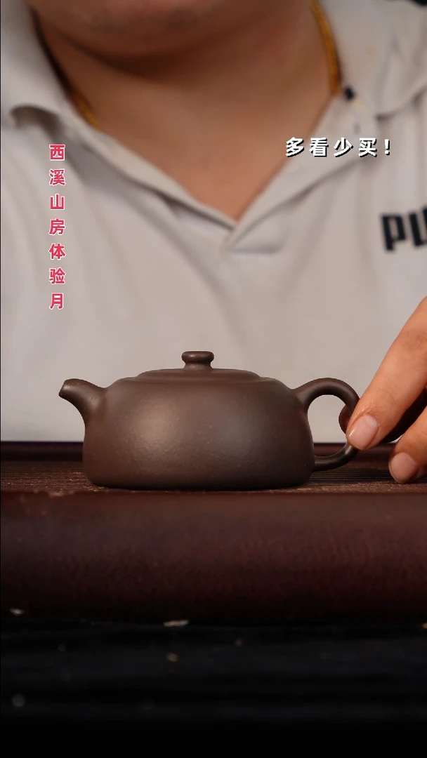 茶壶紫砂紫砂壶紫砂壶非自营