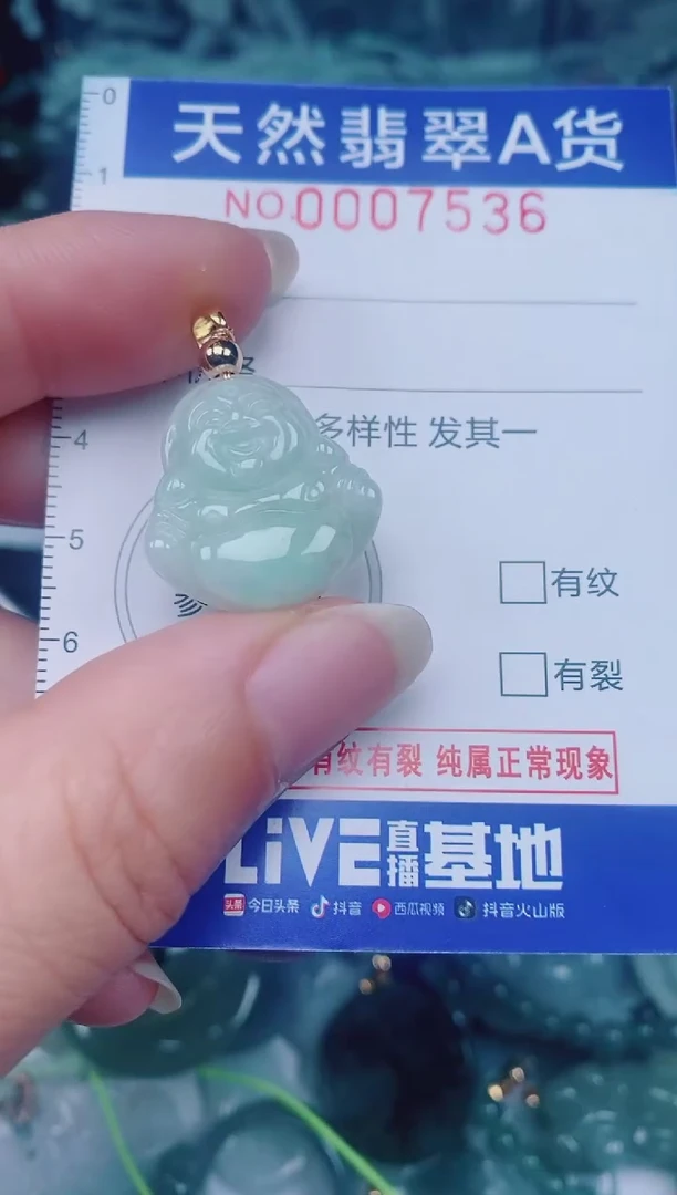 颈饰未镶嵌翡翠00007536