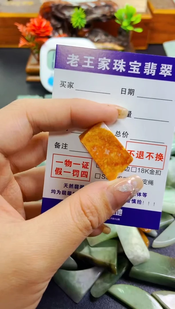 【闪购商品】翡翠颈饰未镶嵌料子