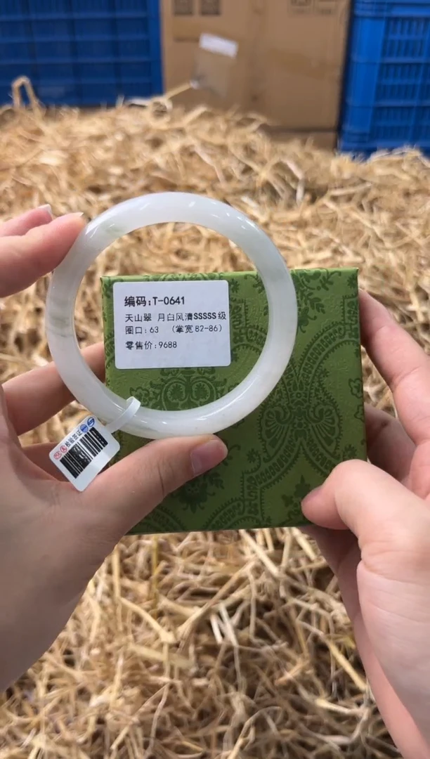 未镶嵌手镯石英质玉T-0641