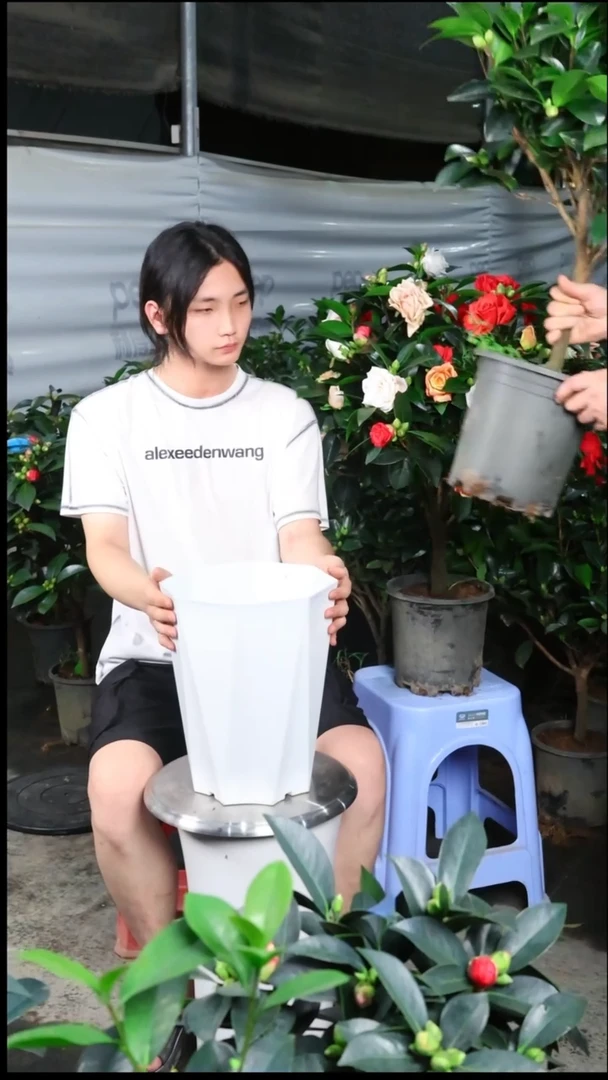 完全开放佰***植...