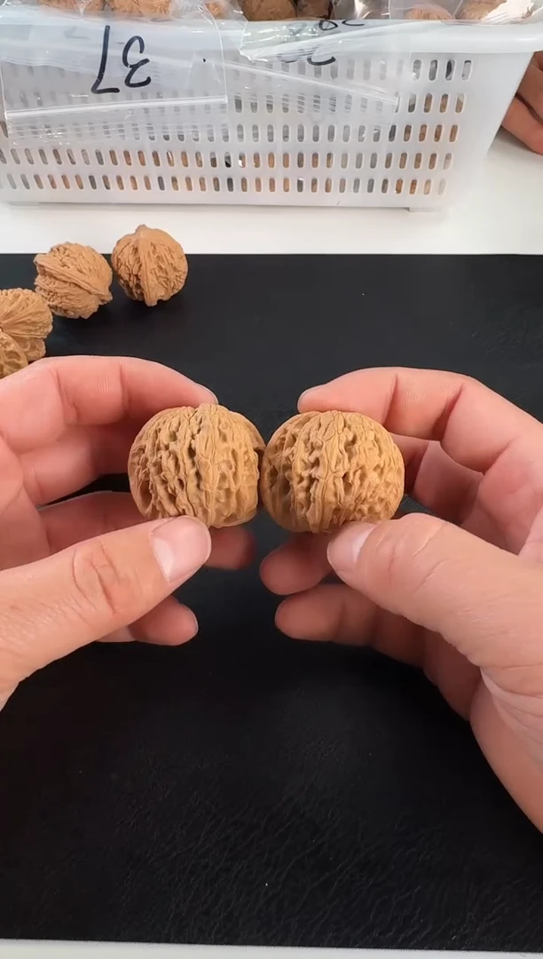 【闪购商品】文玩核桃把件-37-38mm-山地磨盘-发其中一对