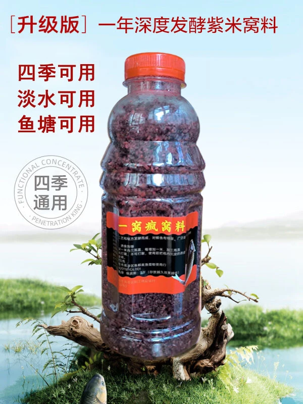 四季通用鲫鲤鱼打窝料休闲竞技发酵酒米窝料