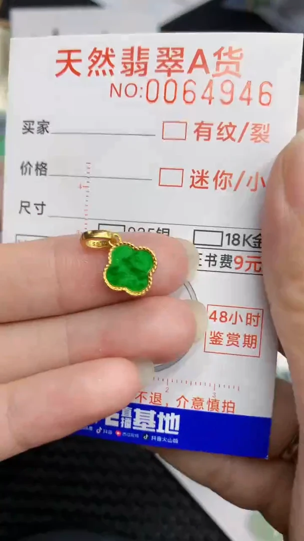 【闪购商品】翡翠颈饰银S925镶嵌            8