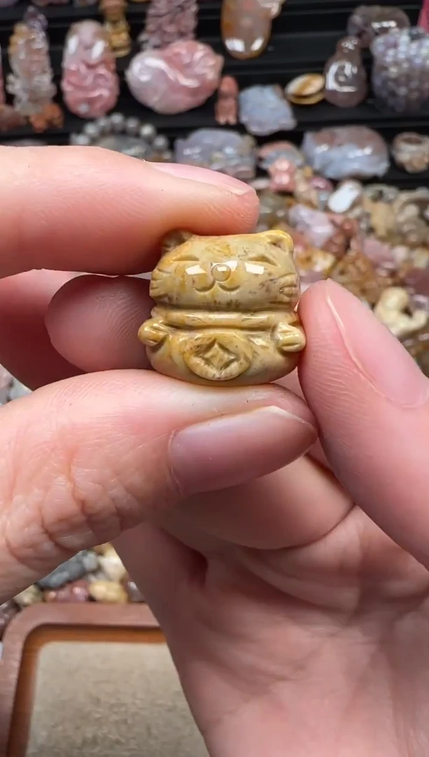 颈饰未镶嵌硅化珊瑚（珊瑚玉）117