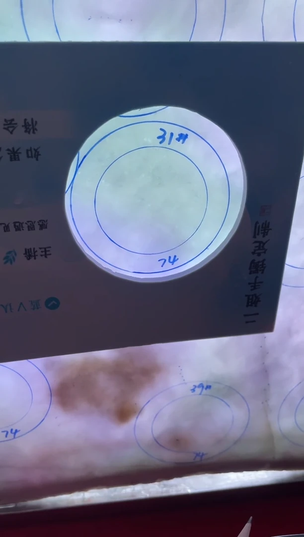 【闪购商品】定制翡翠手镯未镶嵌【粉黛佳人】正圈CHCSZ-DZS8