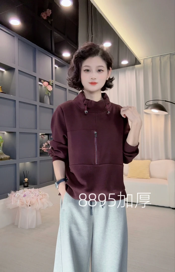 2025年秋季新款显瘦气质时尚简单打加厚底卫衣上衣8895