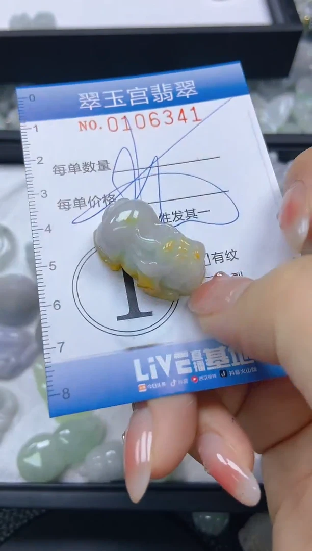 翡翠未镶嵌颈饰闪购0106341
