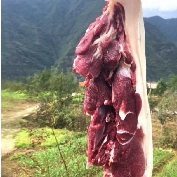 （1号-49号）皖南农家喂养土猪肉新鲜/直播间按照编号一物一拍