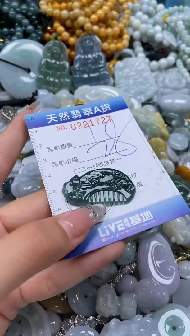 翡翠未镶嵌颈饰闪购0221727