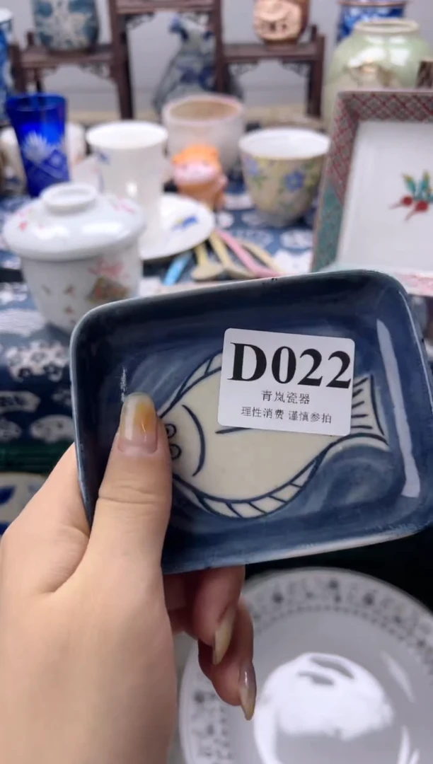 瓷片s***y    D022