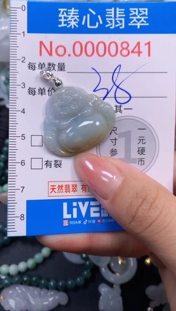 颈饰未镶嵌翡翠841