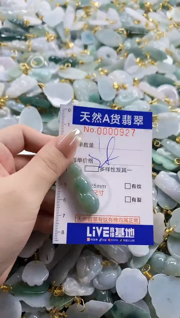 颈饰未镶嵌翡翠天然A货翡翠