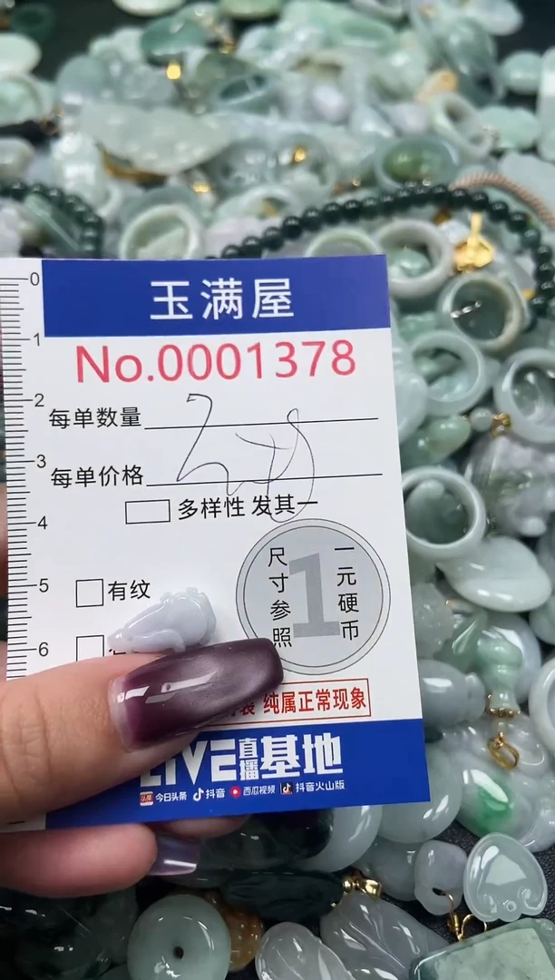 颈饰未镶嵌翡翠1378