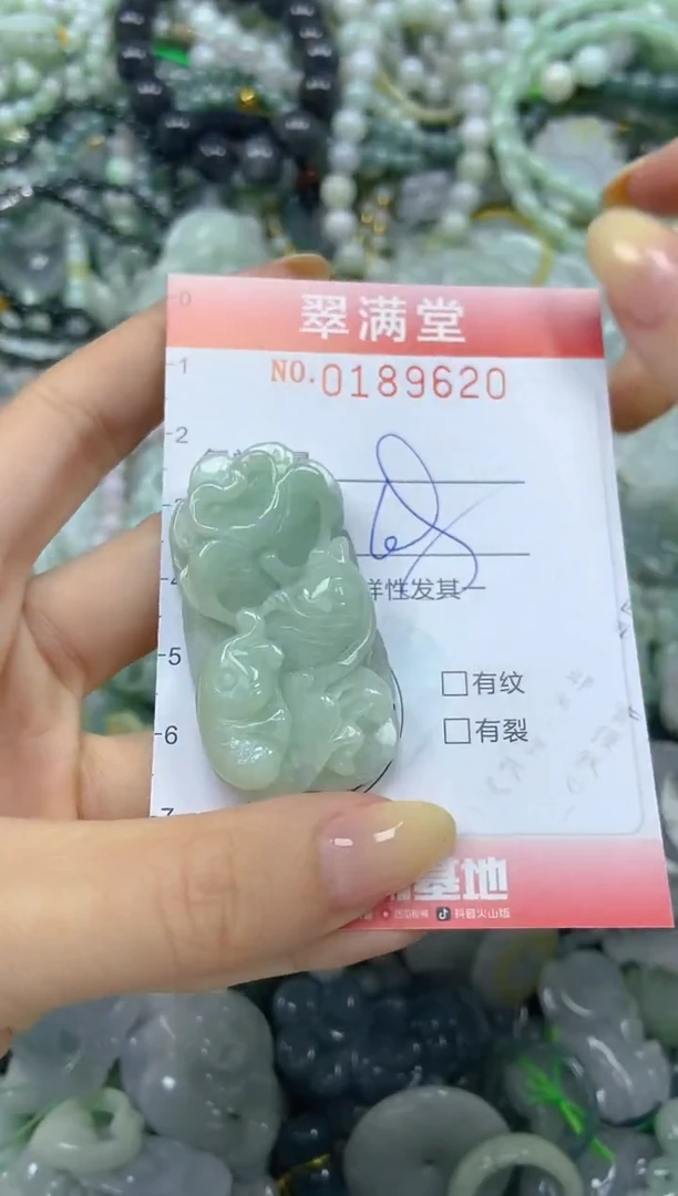 颈饰未镶嵌翡翠闪购0189620