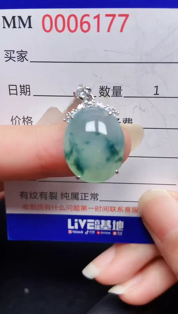 翡翠银S925镶嵌颈饰6177