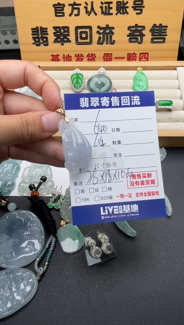 颈饰未镶嵌翡翠10147103