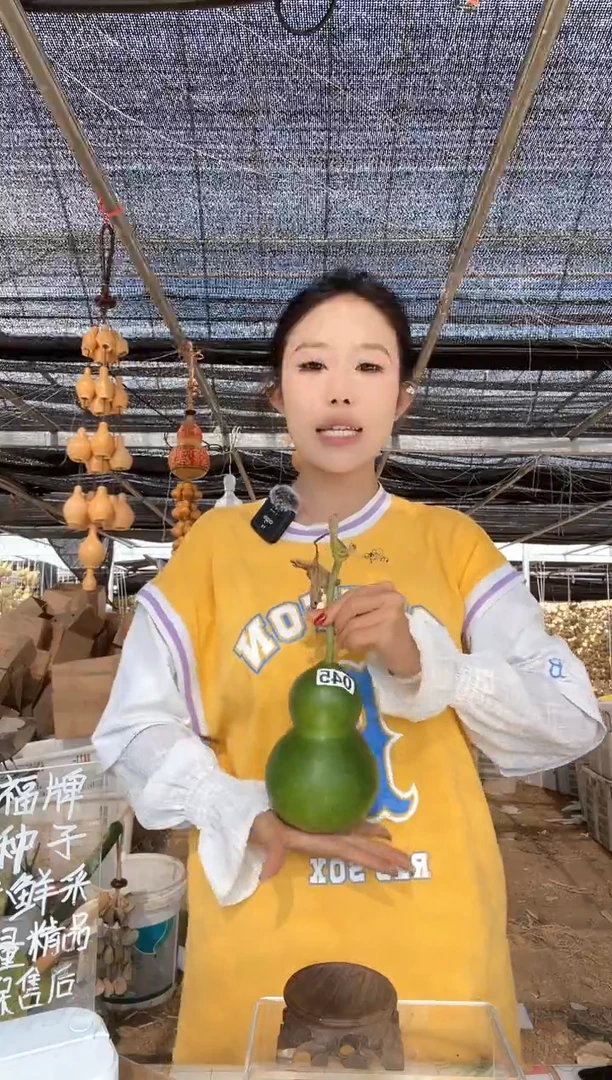 045天然葫芦摆件 一物一拍龙头不保售后