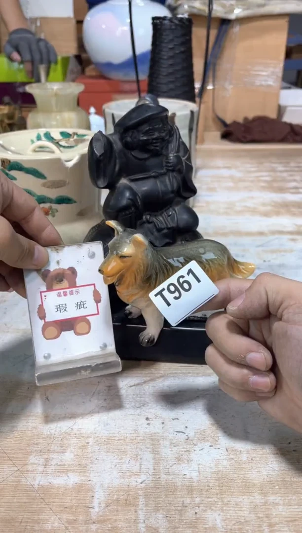 我**阳直播闪购专用链接123