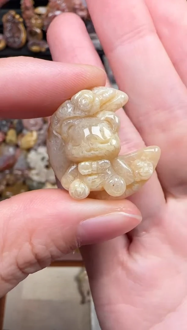 颈饰未镶嵌硅化珊瑚（珊瑚玉）219