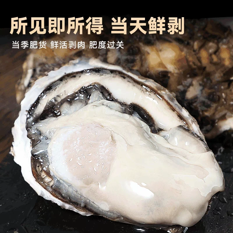 大连野生海蛎子肉 保鲜保肥 当天现扩 大中混合 顺丰包邮