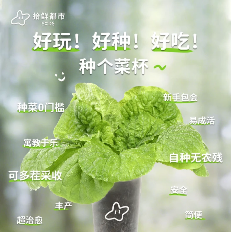 拾鲜都市 潮玩有趣健康蔬菜种植杯组合 开盖浇水简单好种