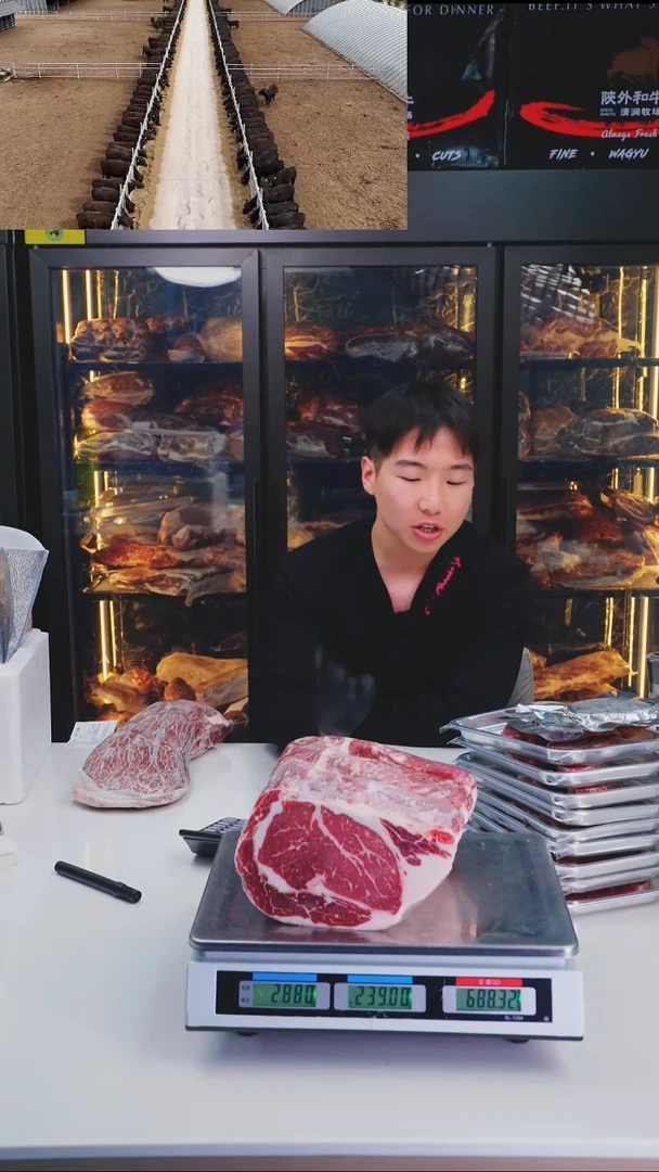 24中国大陆2.24kg   a1板腱