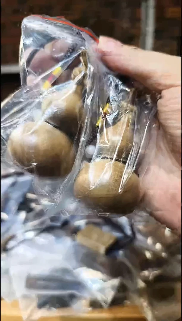 金丝楠       龙头葫芦