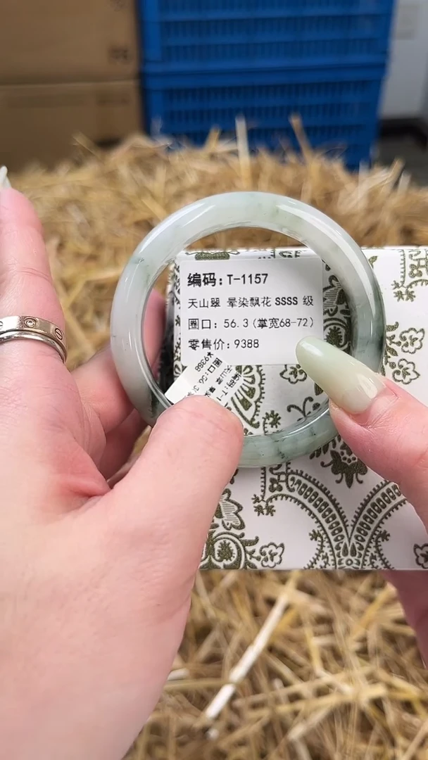 未镶嵌手镯石英质玉T-1157