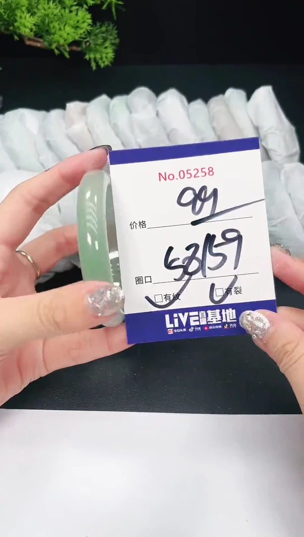 未镶嵌手镯翡翠05258