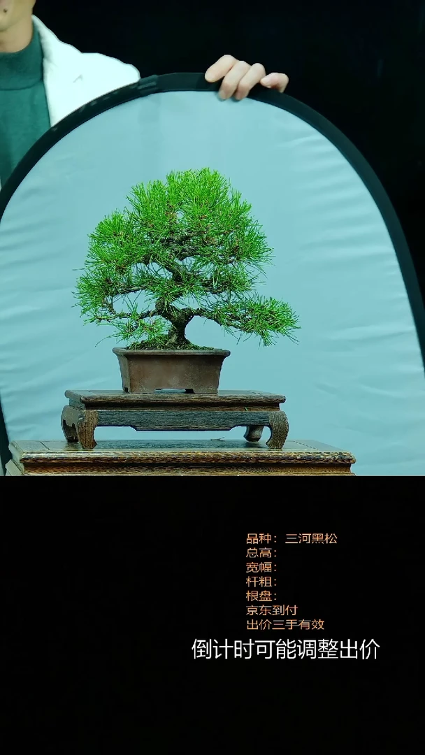 【闪购商品】00000