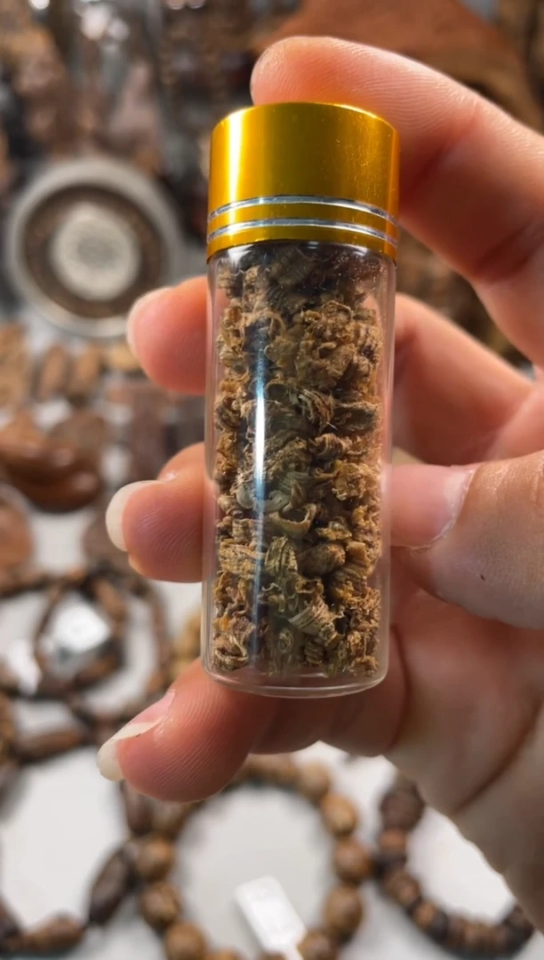 沉香碎屑沉香  越南芽庄  沉香