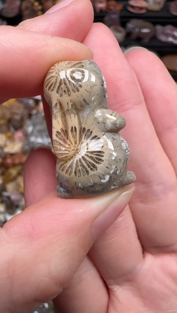 颈饰未镶嵌硅化珊瑚（珊瑚玉）814