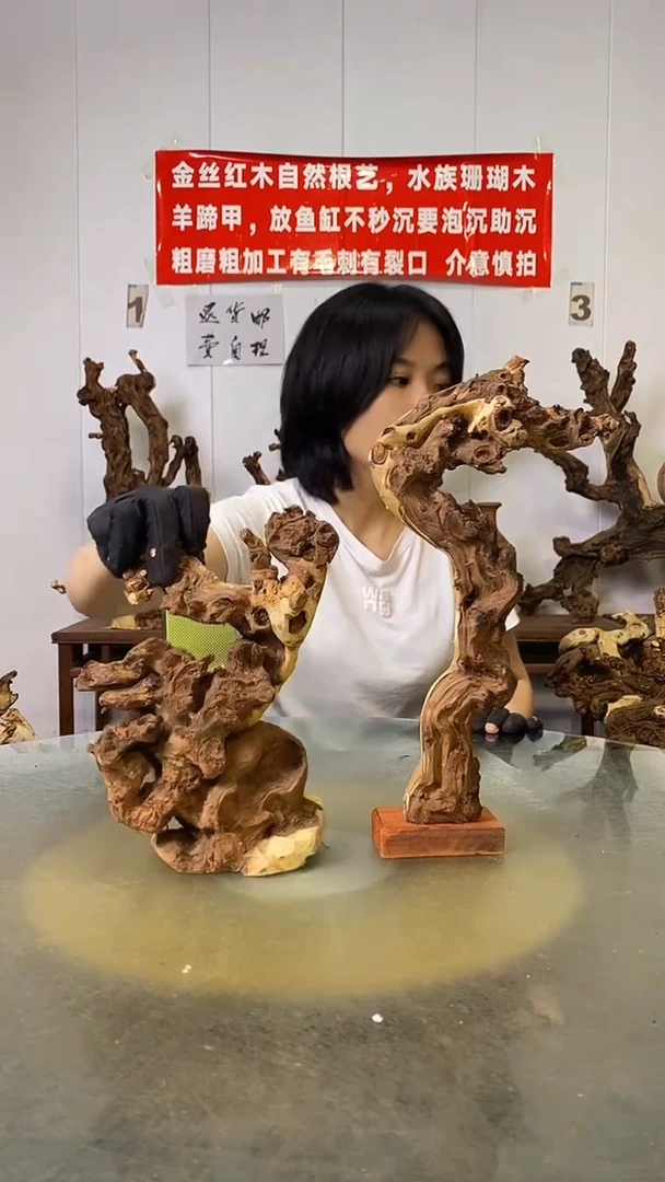 香榧木静**变金丝红木   羊蹄甲2