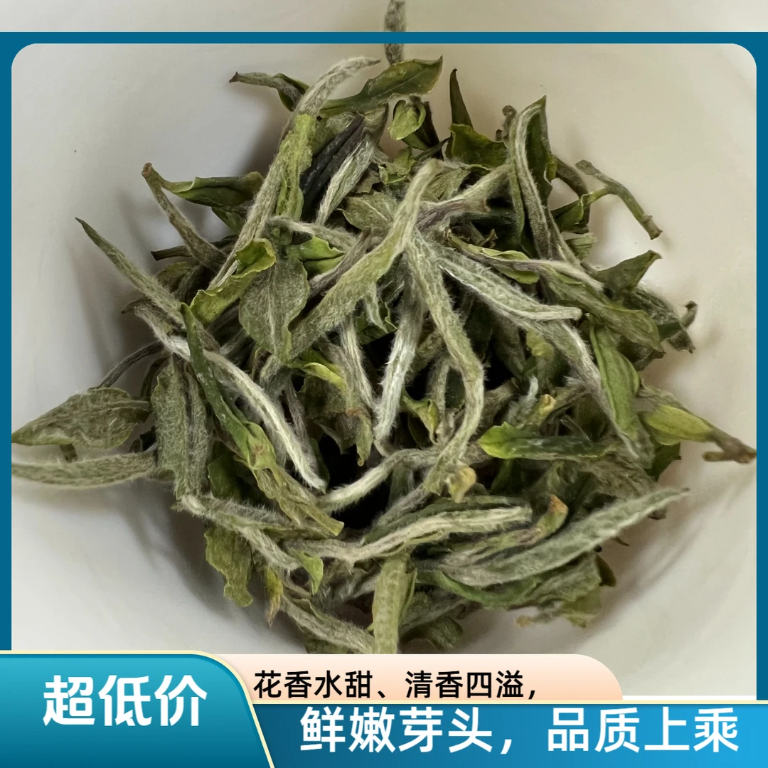 福鼎白茶2025年兰花香白牡丹明前头采花香水甜磻溪高山白茶一级