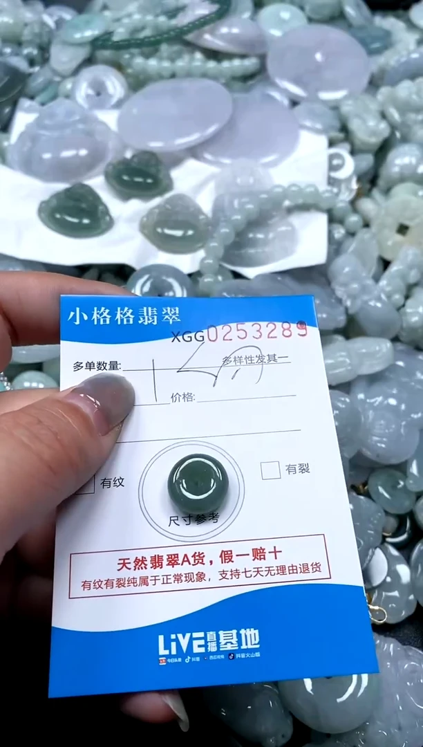 翡翠未镶嵌颈饰闪购商品0253289