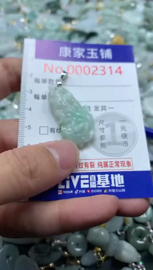 颈饰未镶嵌翡翠2314
