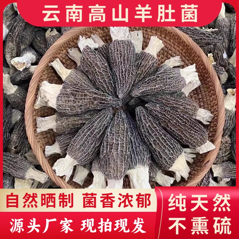 云南头茬干货羊肚菌 5到8厘米大个头 厚肉高山林下种植