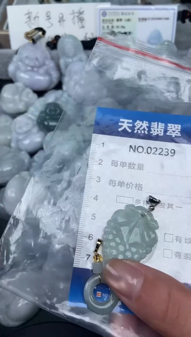 颈饰未镶嵌翡翠纯天然A货翡翠2239