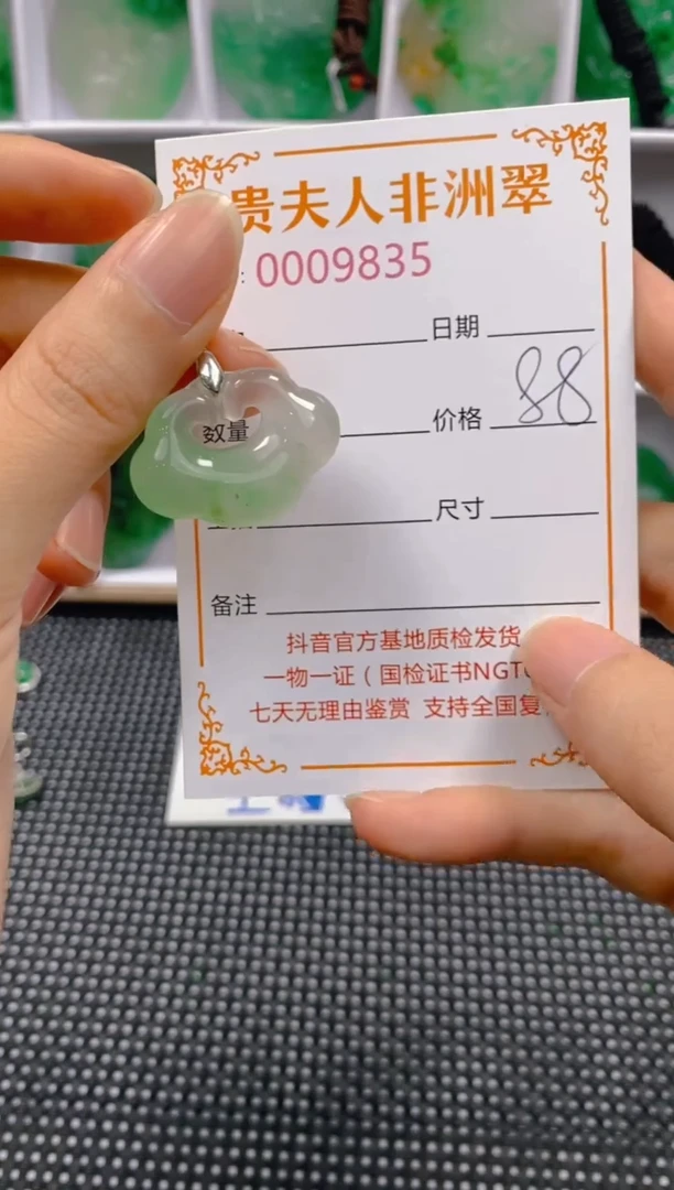 石英质玉未镶嵌颈饰835