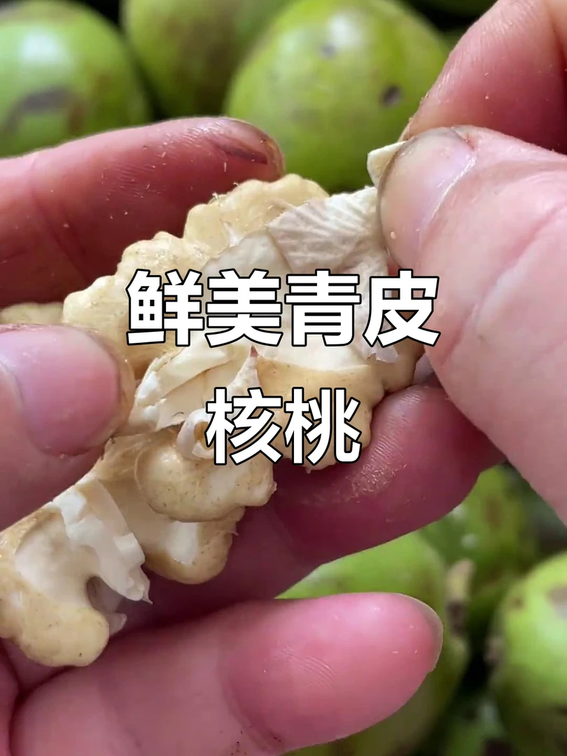 【新鲜高山青皮核桃】新鲜青皮核桃 去青皮核桃现摘现发送开果器