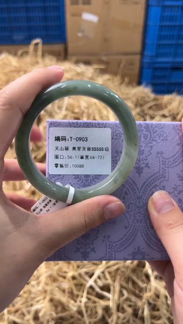 未镶嵌手镯石英质玉T-0903