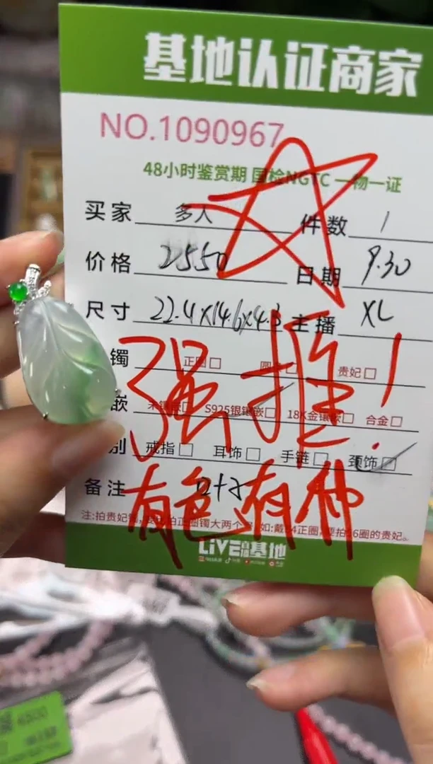 吊坠(不含链)银S925镶嵌翡翠多人