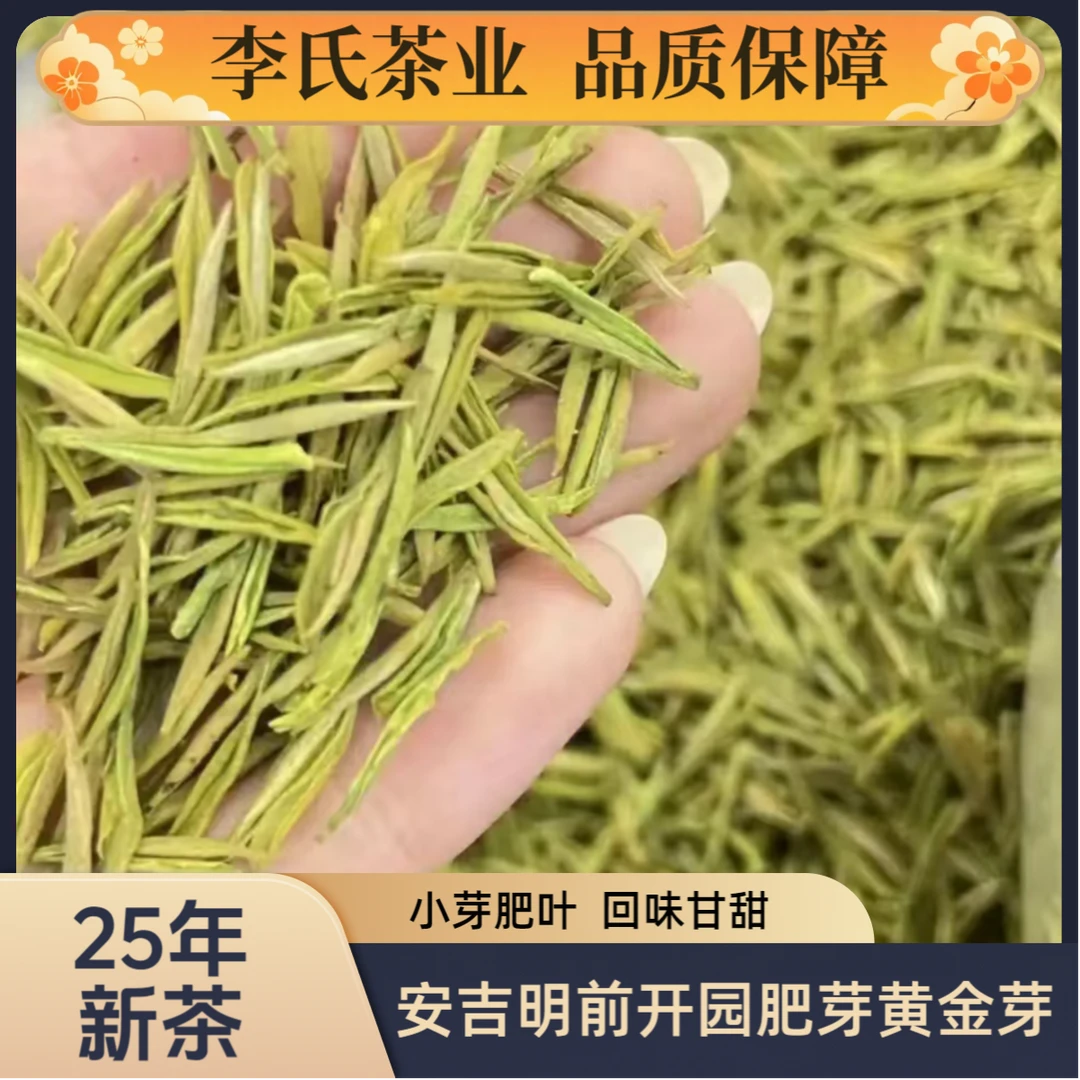【福利款】2025年小芽头明前高山黄金芽茶中优品茶叶送礼佳品
