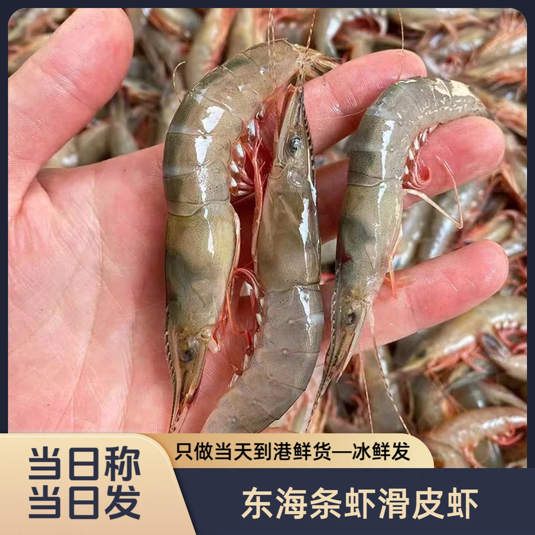 【刚到港】【冰鲜发货】净重3斤舟山精品野生青壳滑皮虾条虾剑虾金钩虾统货挑掉小的  80-90头